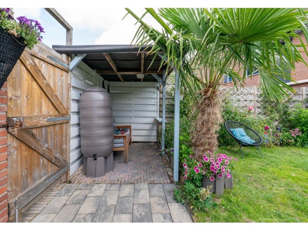 Palmboom, 250 tot 400 cm, Zomer, Palmboom, Ophalen