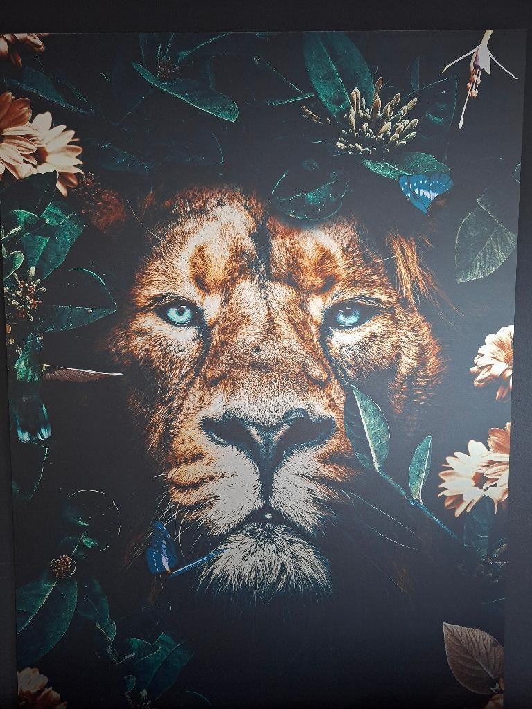 Schilderij Leeuw op alu-dibond van Posterjunkie, Huis en Inrichting, Woonaccessoires | Schilderijen, Tekeningen en Foto's, Ophalen