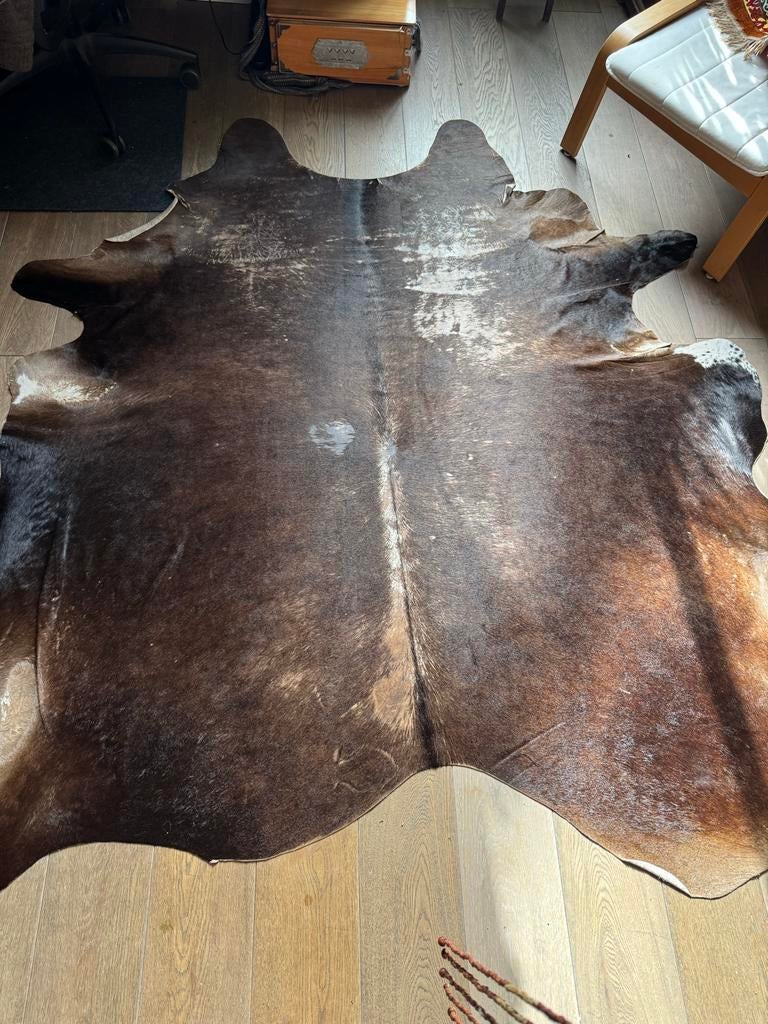 Prachtige koeienhuid - Bruin/Zwart gevlekt, Gebruikt, Bruin, 150 tot 200 cm, 200 cm of meer