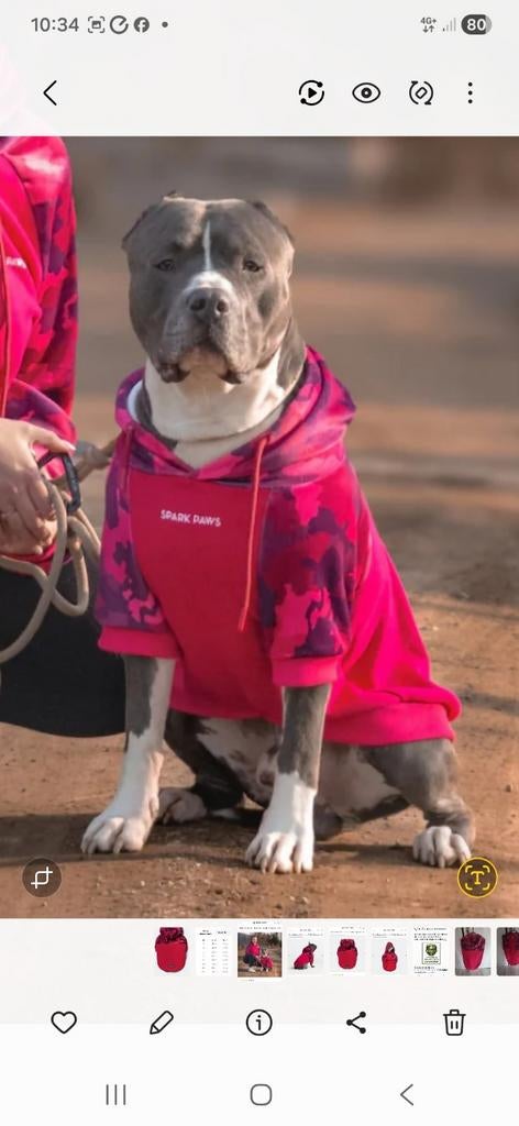 Honden jas/ Sweater, Ophalen, Nieuw, Hondenjas