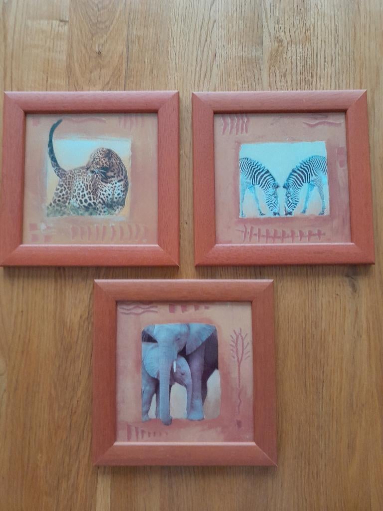3 schilderijlijsten 23 x 23 cm , olifant zebra jachtluipaard, Ophalen of Verzenden, Hout, Minder dan 50 cm, Minder dan 50 cm