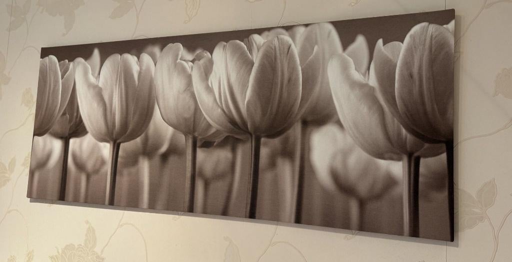 Canvas schilderij van Ikea met tulpen, Huis en Inrichting, Woonaccessoires | Schilderijen, Tekeningen en Foto's, Ophalen, 50 tot 75 cm