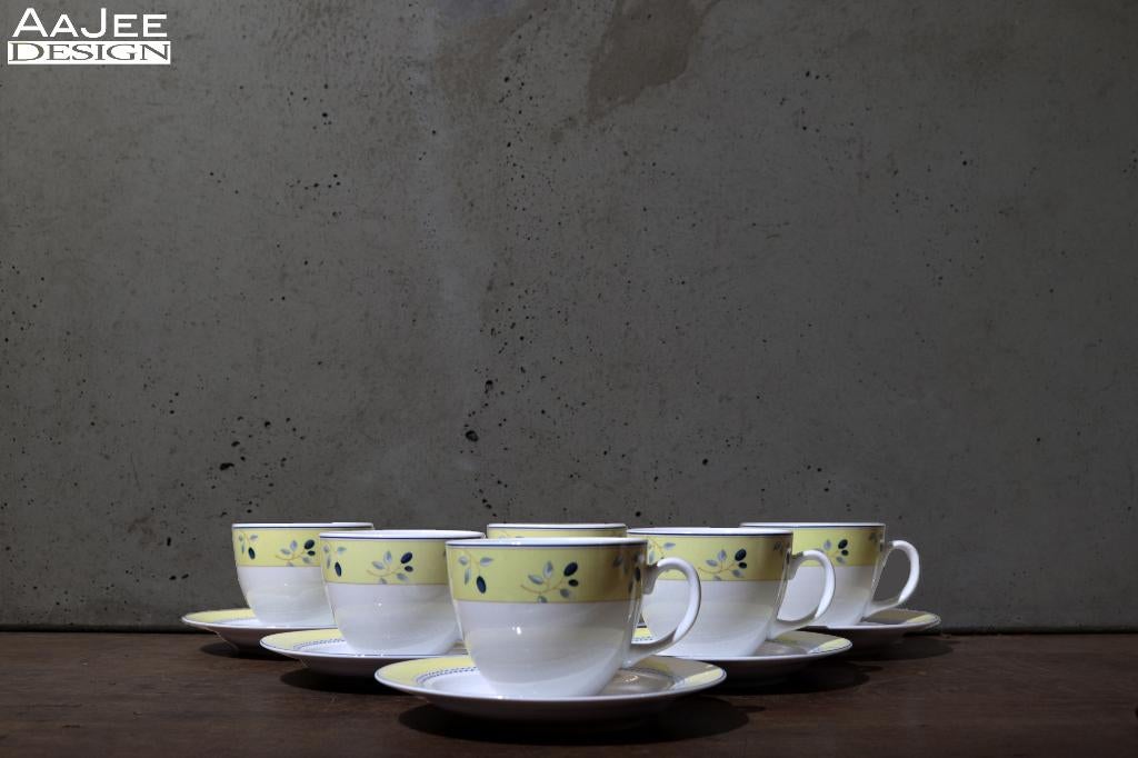 Royal Doulton – 6 kop en schotels – Blueberry - Als nieuw!, Ophalen of Verzenden, Zo goed als nieuw, Overige stijlen, Kop(pen) en/of Schotel(s)