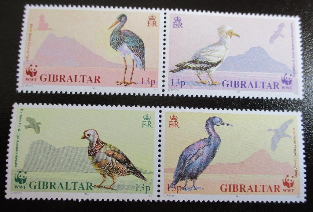 Gibraltar, WWF serie Vogels, Verzenden, Postfris, Dier of Natuur