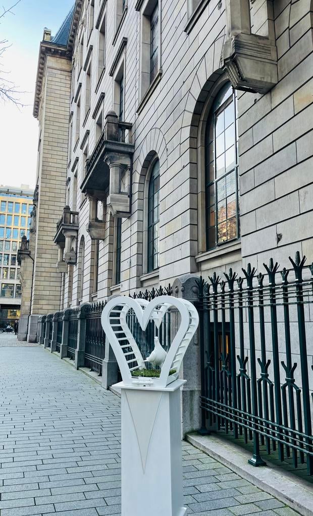 Bruidsduiven te huur., Dieren en Toebehoren, Meerdere dieren, Postduif