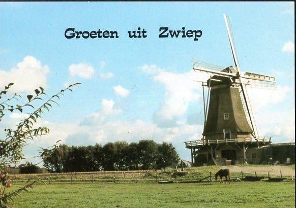 (GD504) Ansichtkaart Zwiep-Lochem Zwiepse molen 1979, Ophalen of Verzenden, 1960 tot 1980, Ongelopen, Gelderland