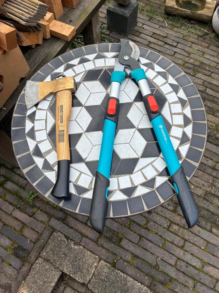 Bijl en takkenschaar, Tuin en Terras, Hand-tuingereedschap, Ophalen, Gebruikt, Overige soorten