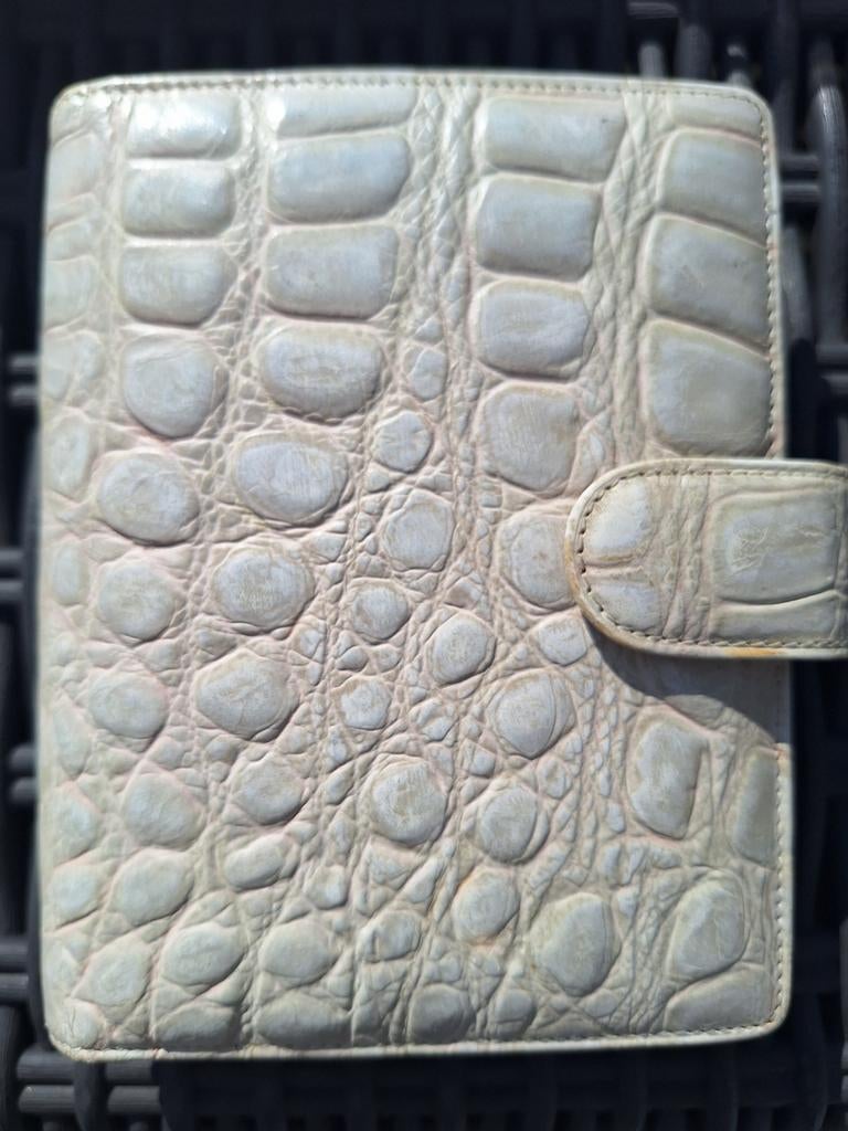 Limited agenda Success beige kleur, Ophalen of Verzenden, Gebruikt