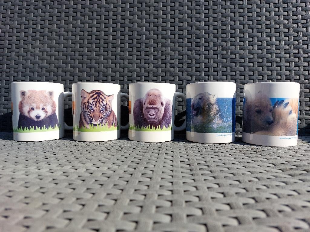 Mokken Diergaarde Blijdorp (4 stuks), Ophalen, Gebruikt, Overige stijlen, Kop(pen) en/of Schotel(s)