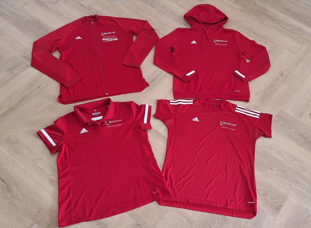ROC Mondriaan Adidas sportkleding, maat M/L, Maat 48/50 (M), Ophalen of Verzenden, Zo goed als nieuw, Adidas