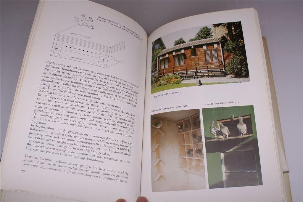 Postduiven — Voeding, Verzorging, Huisvesting, Wedvlucht, Ophalen of Verzenden, Gelezen, Vogels