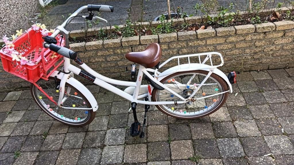 Kinderfiets meisje 20inch alpina, Ophalen of Verzenden, Gebruikt, 20 inch