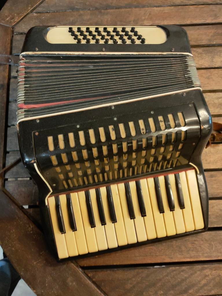 Accordeon, Muziek en Instrumenten, Ophalen, Gebruikt, Weltmeister