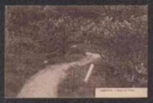 Heerde Naar de Delle Wandelpad Fietspad., Verzamelen, Ophalen of Verzenden, Voor 1920, Ongelopen, Gelderland