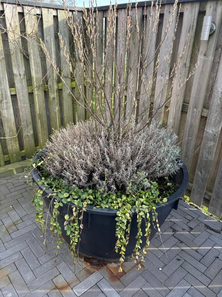 Kunststof bloembak, Ophalen, Rond, Kunststof