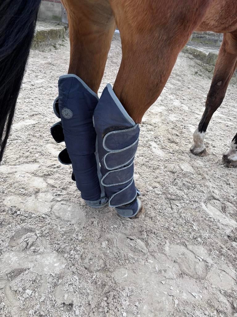 Transportbeschermers maat full, Dieren en Toebehoren, Ophalen of Verzenden, Gebruikt, Transport