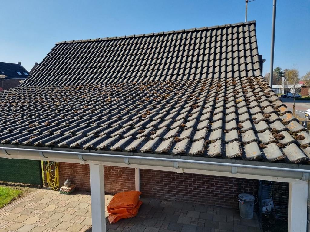 Gratis dakpannen +/- 28 m2, Ophalen, Overige materialen, Gebruikt, Zwart