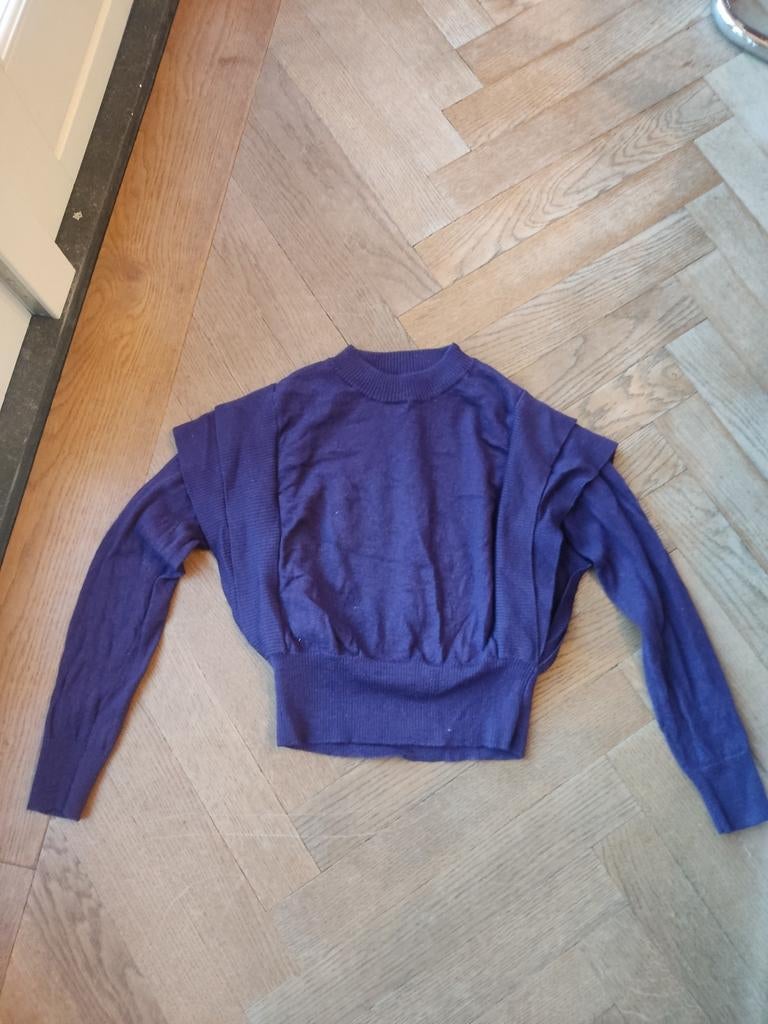 Repeat trui wol paars. maat M. valt als S /M., Kleding | Dames, Truien en Vesten, Ophalen of Verzenden, Zo goed als nieuw, Maat 38/40 (M)