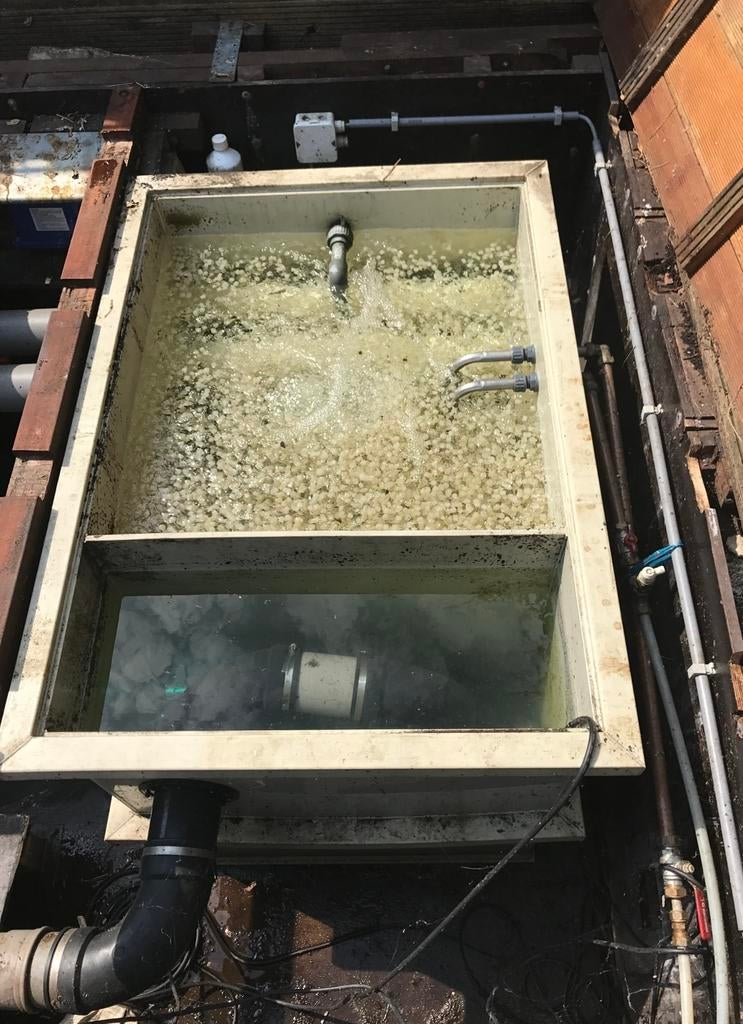 Complete trommel filter, Ophalen of Verzenden, Zo goed als nieuw, Vijverfilter