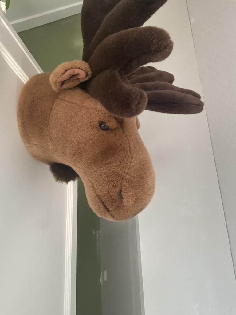 Eland pluche kop, Ophalen of Verzenden, Zo goed als nieuw, Wanddecoratie