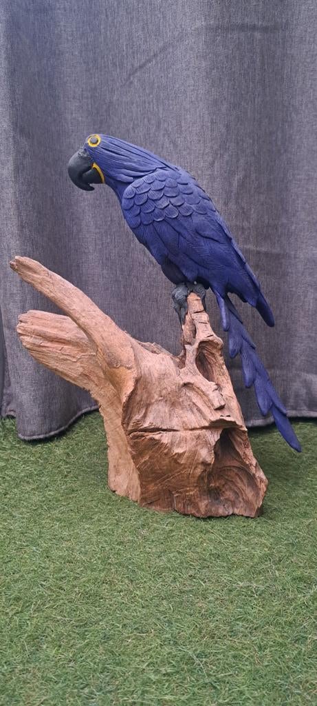 Hyacint ara houtsnijwerk, Ophalen