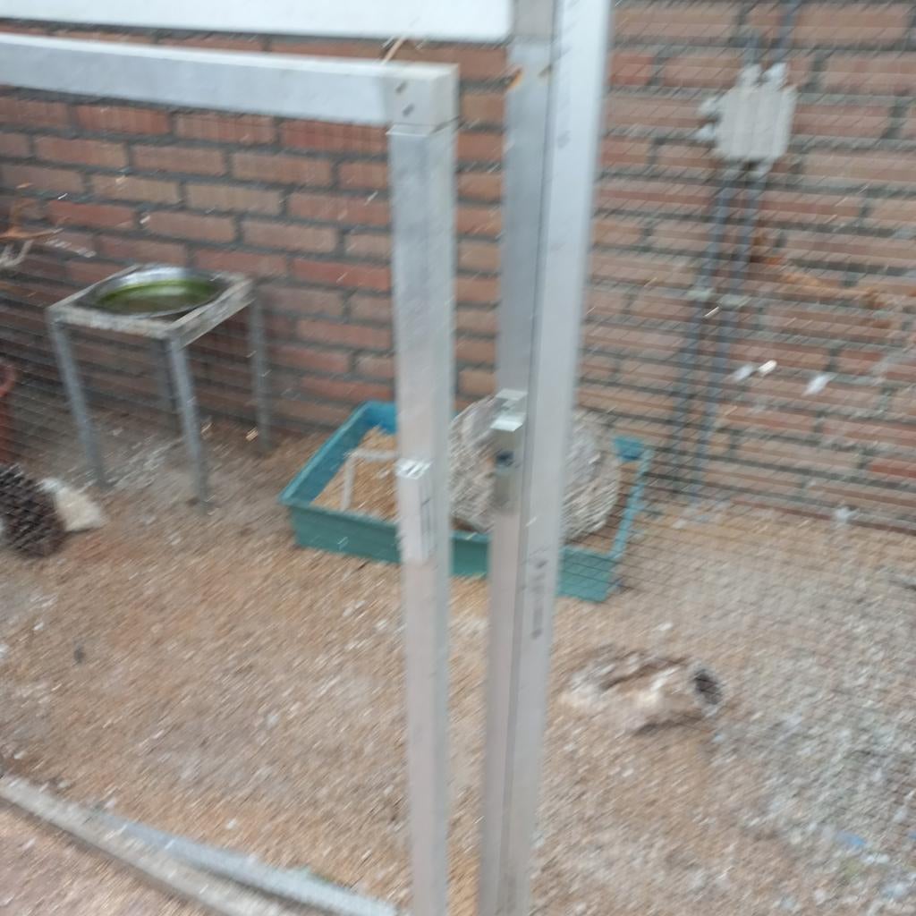 Volière 2mtrx1mtrx2mtrhoog, Ophalen of Verzenden, Gebruikt, Aluminium, Volière