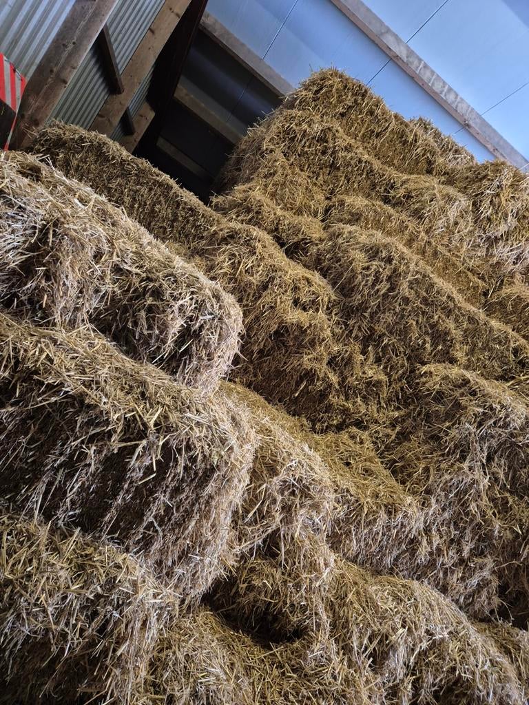 Gerst Stro te koop, Ophalen of Verzenden