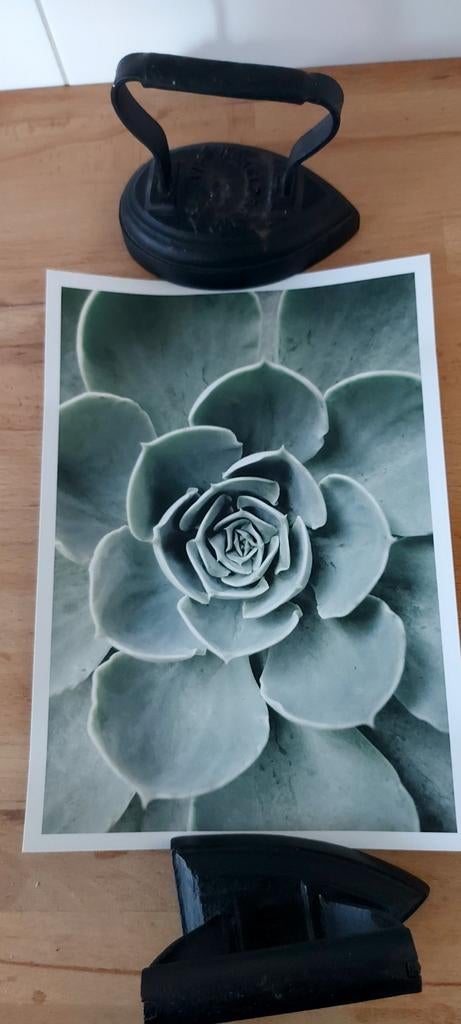 Desenio Posters - 6 stuks met passe-partout, Ophalen of Verzenden, Zo goed als nieuw, Minder dan 50 cm