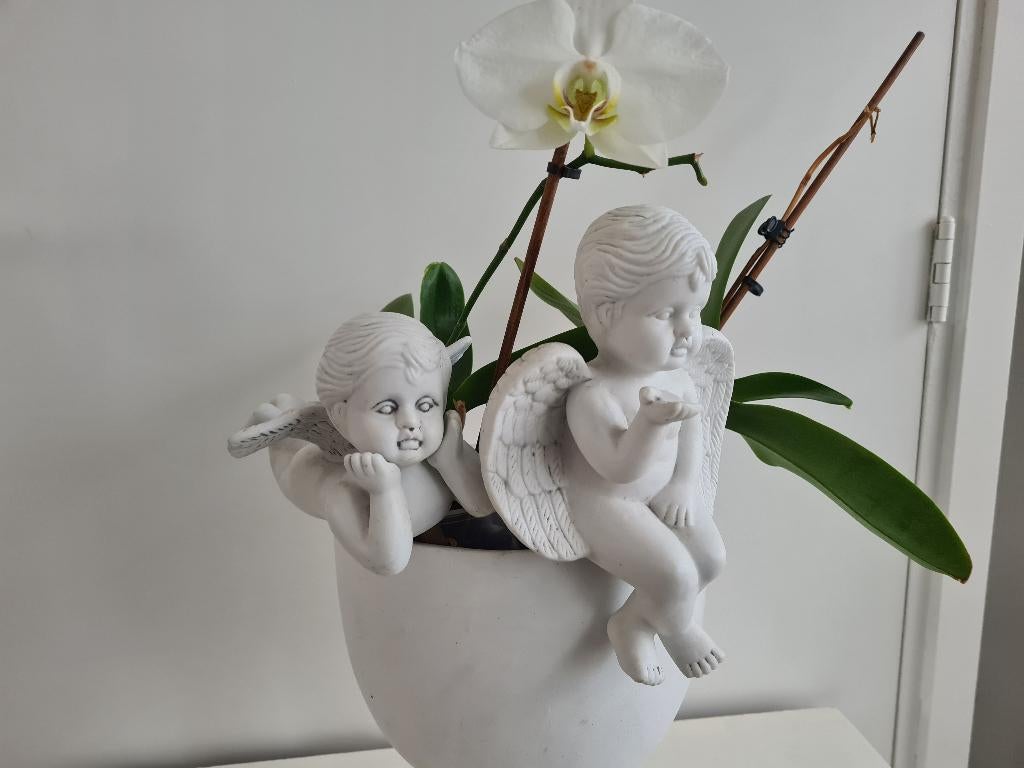 2 engelen als beeld of plantensteker, Ophalen of Verzenden, Zo goed als nieuw, Overige typen