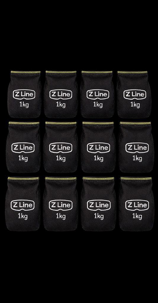 Z Line Ballast, Watersport en Boten, 6214xj, Nieuw, Ophalen of Verzenden, Lood of Loodgordel