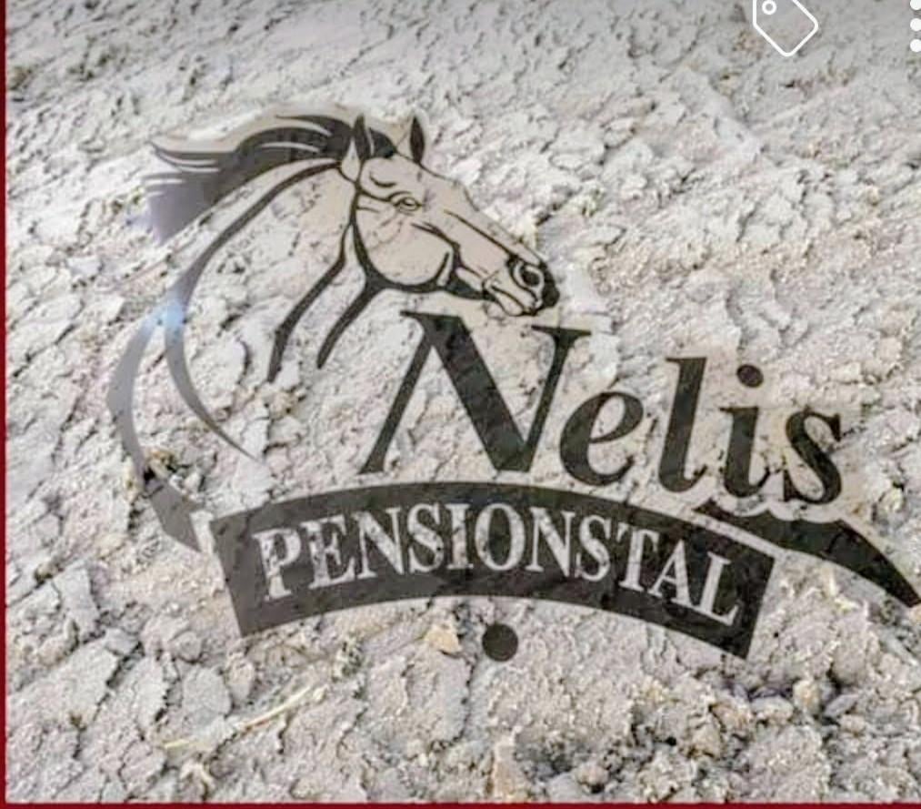 Plekje vrij, Weidegang, 2 of 3 paarden of pony's