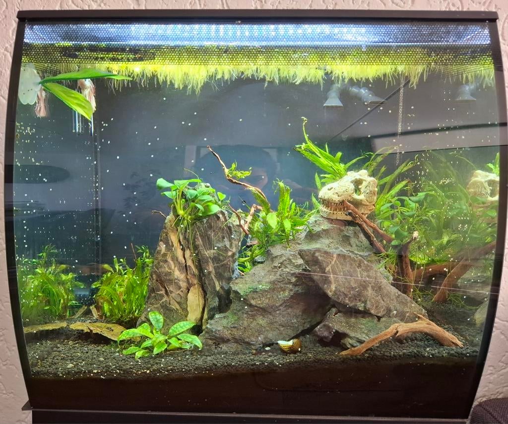 Compleet werkend aquarium!!, Ophalen, Zo goed als nieuw