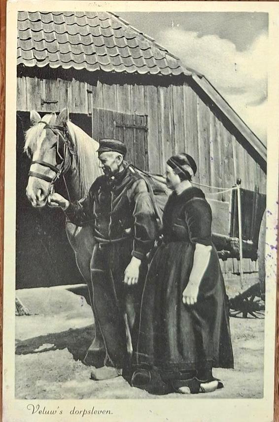 Boerenleven- Boer en Boerin met paard, Verzamelen, Verzenden, 1920 tot 1940, Ongelopen, Gelderland