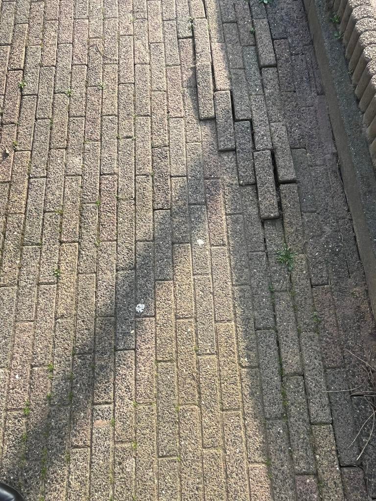 Gratis *** klinkers 80m2 *** gratis, Ophalen, Klinkers, Zo goed als nieuw, 10 m² of meer