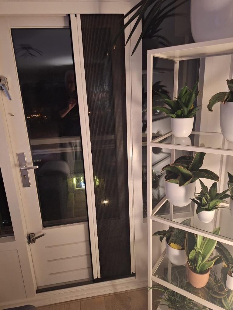 Hordeuren plisse 2 stuks mag per stuk, Ophalen, Gebruikt, Wit, 50 tot 100 cm