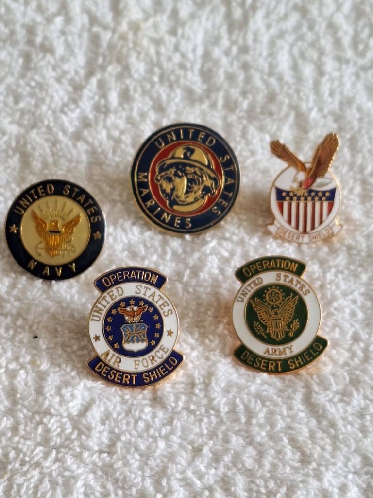 Militaria : USA Golfoorlog Pins ,Zie tekst, Verzenden, Landmacht, Azië, Overige typen
