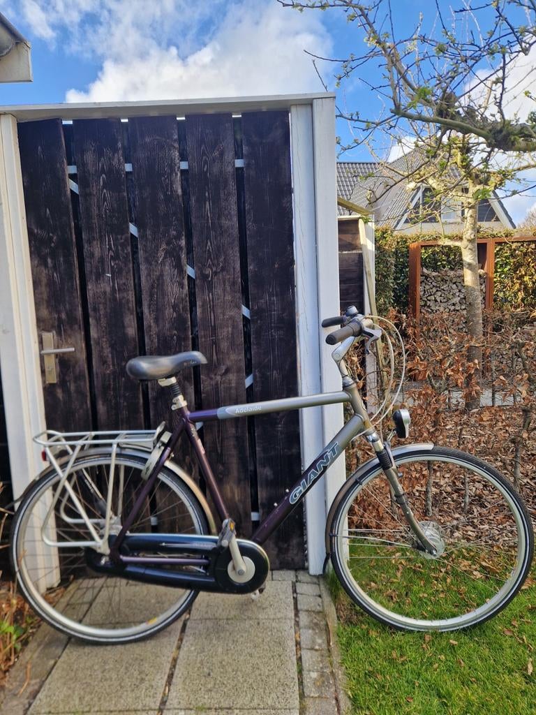 Giant adelaide herenfiets - 28 inch, Ophalen, Gebruikt, Versnellingen, Giant