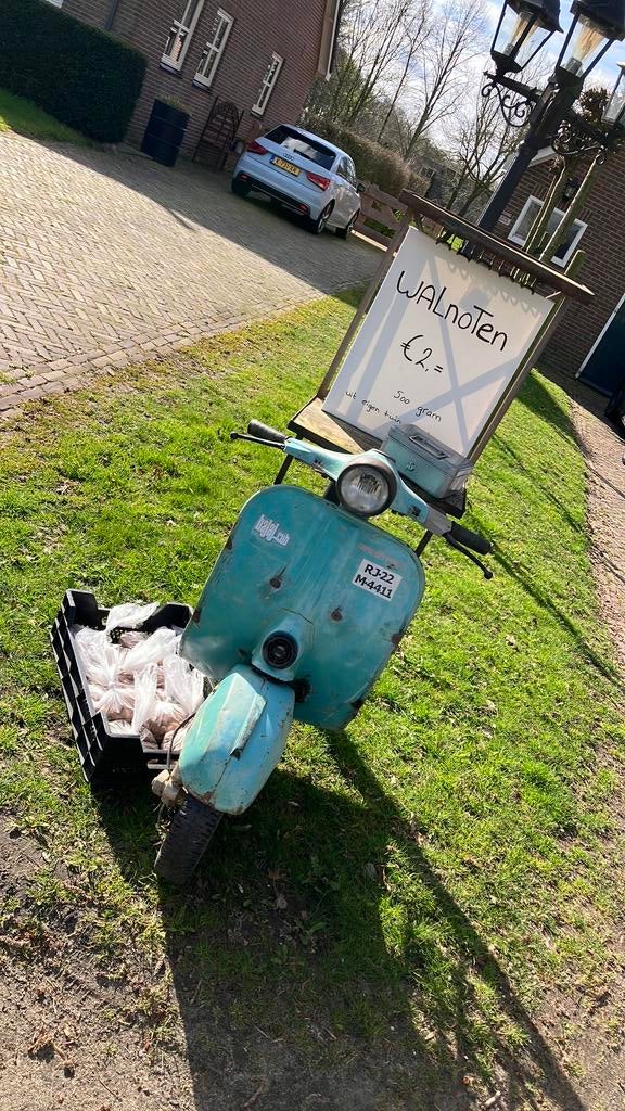 Te koop walnoten uit eigen tuin vandaag en morgen, Tuin en Terras, Ophalen of Verzenden