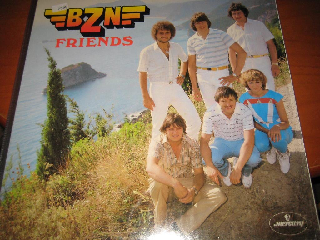 LP, BZN: Friends, Cd's en Dvd's, Vinyl | Pop, Beschermende buitenhoes, Ophalen of Verzenden, Zo goed als nieuw, 12 inch