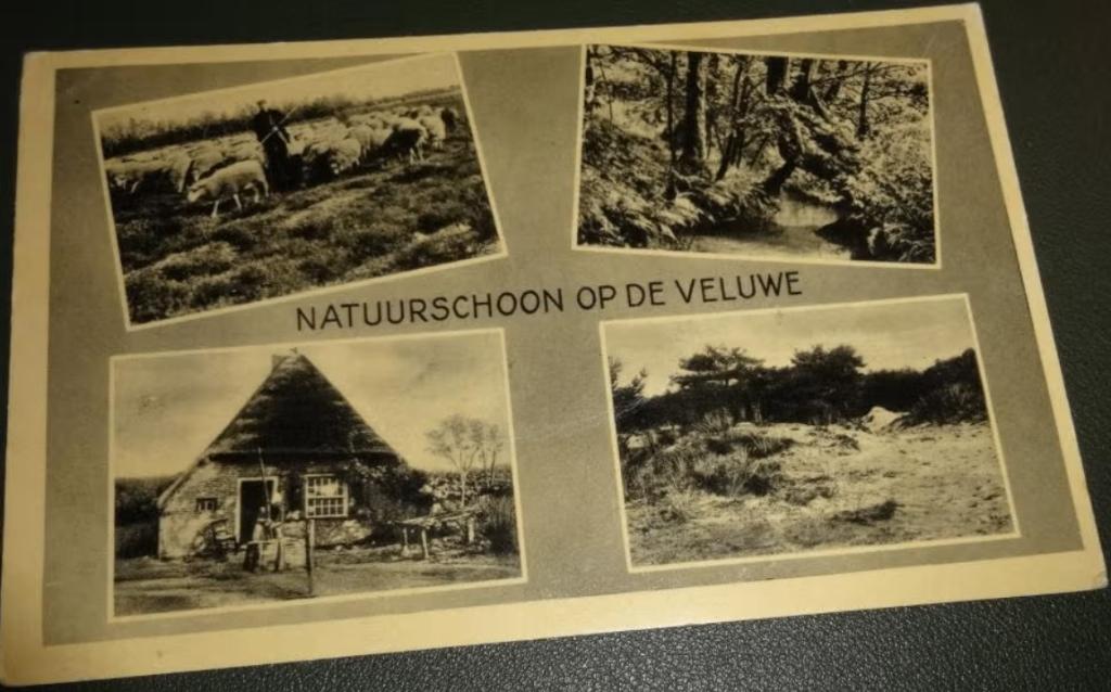 Veluwe - Natuurschoon - Vierluik, Verzamelen, Verzenden, 1920 tot 1940, Gelopen, Gelderland