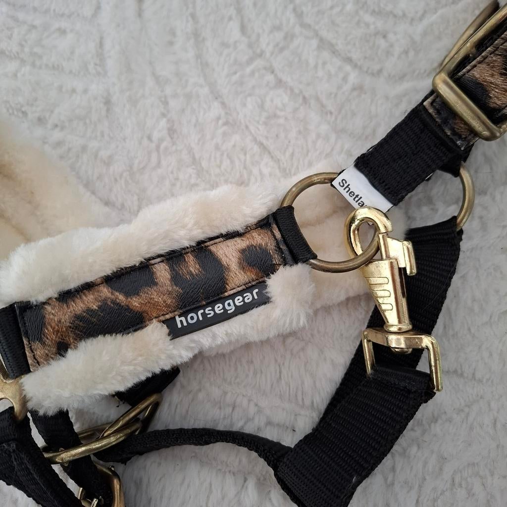 Horsegear bont panter halster, Ophalen of Verzenden, Nieuw, Overige soorten