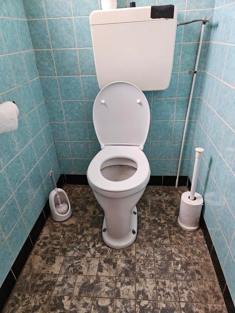 Gezocht, klusser, Ophalen, Toilet