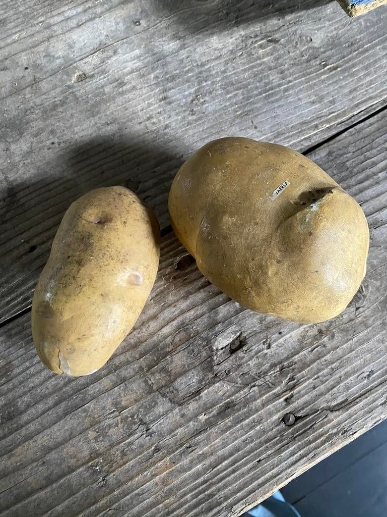 Antiek lesmateriaal, Ophalen of Verzenden