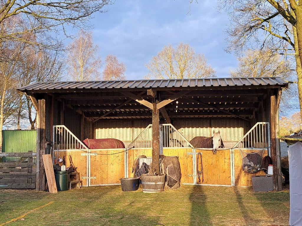 Pensioen stalling en weidegang paard (rusthuis/pension), Weidegang, 1 paard of pony