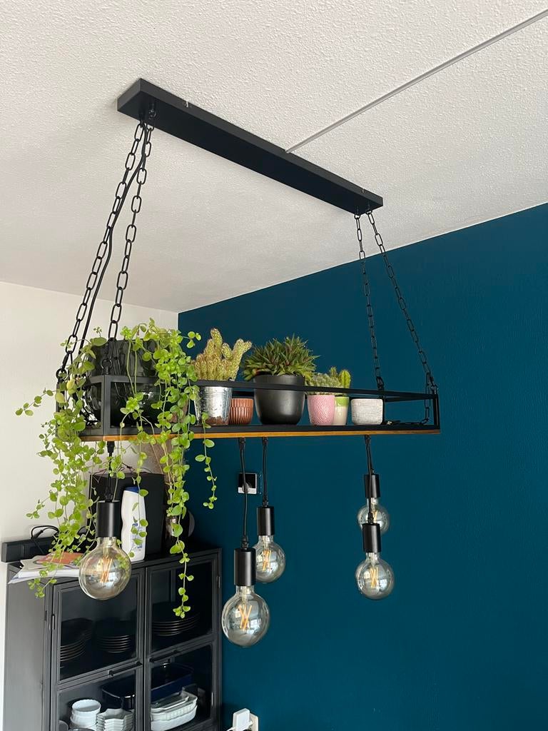 Industriële hanglamp met plank voor planten, Ophalen, Gebruikt, 50 tot 75 cm, Indistrueel