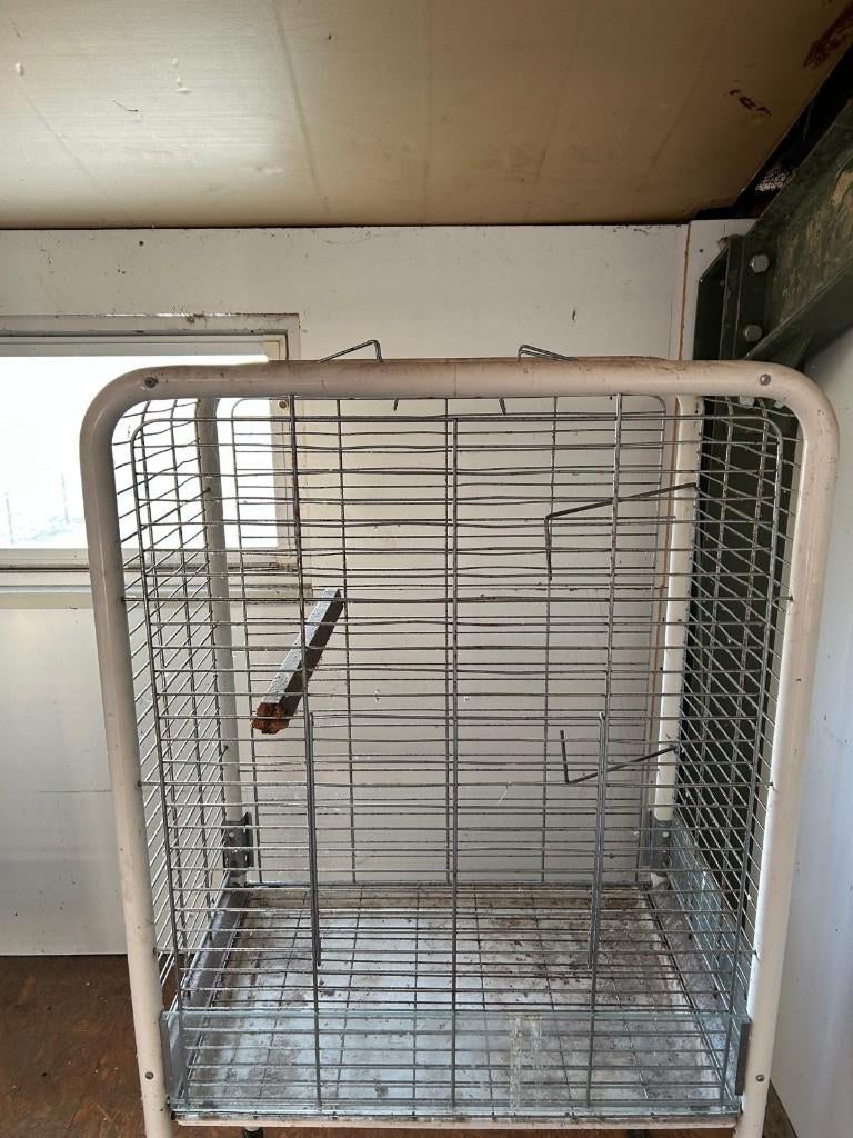 Mooie vogel/papegaai kooi te koop, Dieren en Toebehoren, Vogels | Hokken en Kooien, Ophalen, Gebruikt, Metaal, Vogelkooi