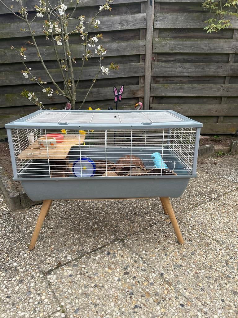 Hamster kooi op poten met veel extras, Kooi, Gebruikt, Minder dan 75 cm, Hamster