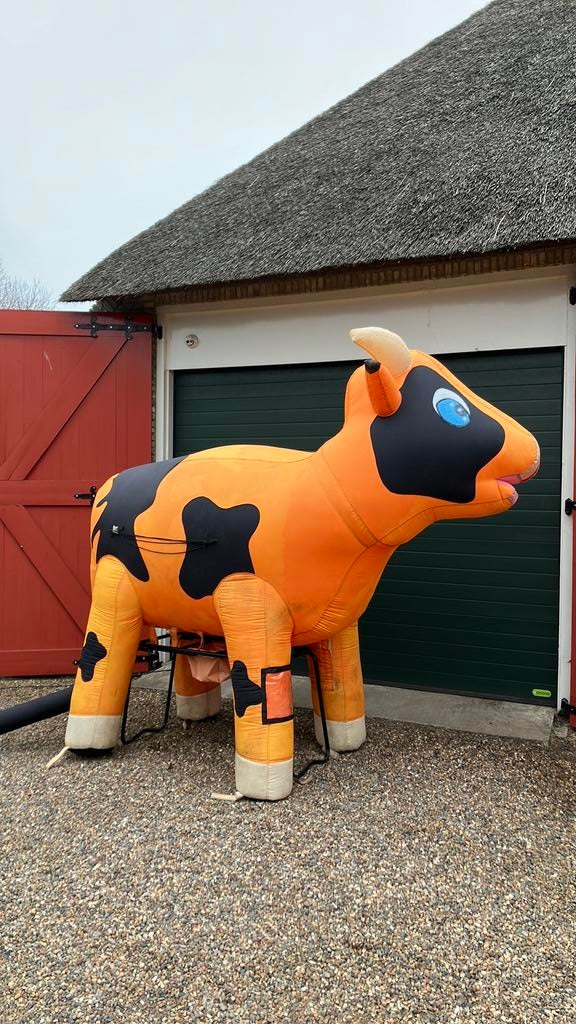 Opblaasbare ranja koe, Ophalen, Gebruikt, Overige