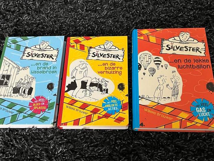 Sylvester Boeken - Willeke Brouwer, Ophalen of Verzenden, Zo goed als nieuw, Fictie algemeen