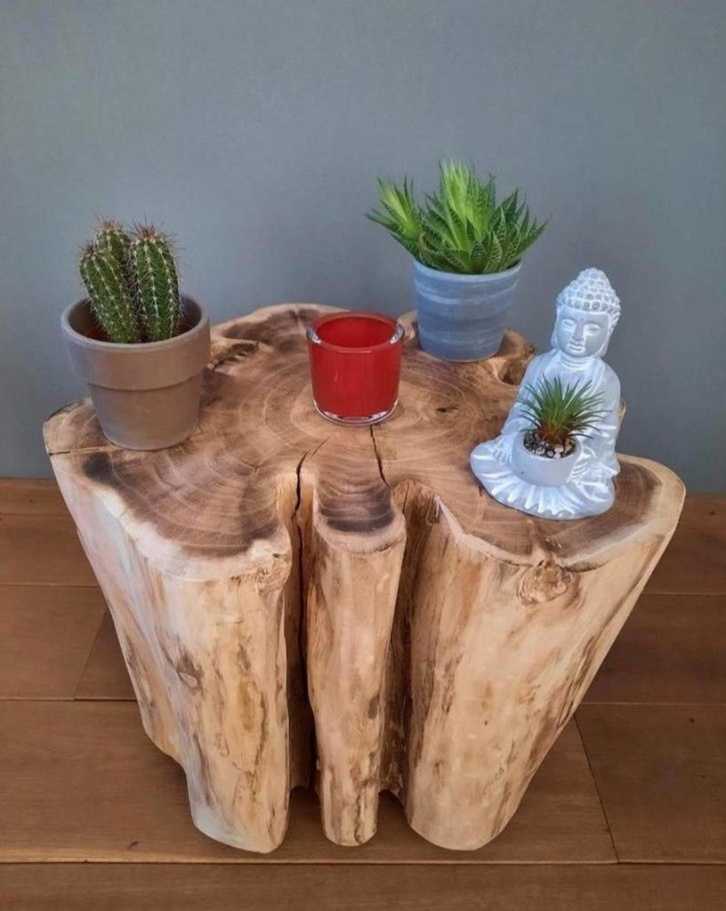 🌸 BOOMSTAM MEERPAAL PILAAR ZUIL SOKKEL PAAL DUKDALF STRONK, Huis en Inrichting, Woonaccessoires | Zuilen en Pilaren, Ophalen